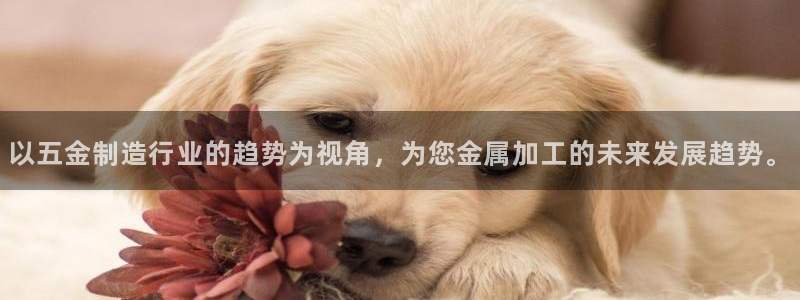 天宏娱乐团购活动时间