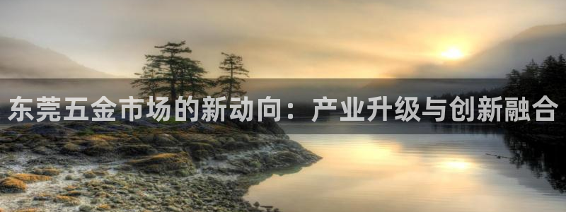 天宏娱乐星空