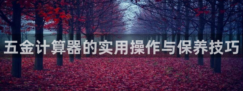 天宏娱乐吴叔抖音