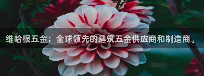 天宏娱乐青风
